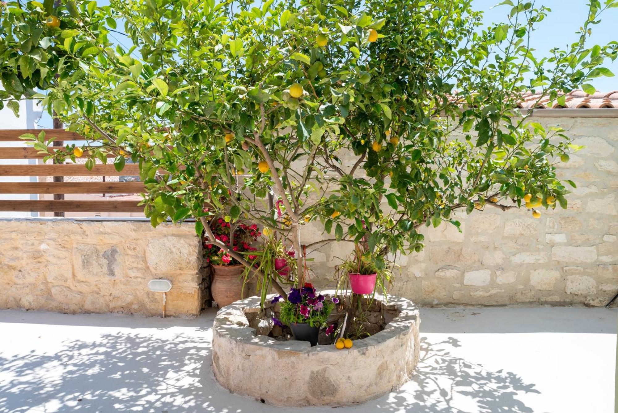 Calliope'S House In Knossos Villa Esterno foto